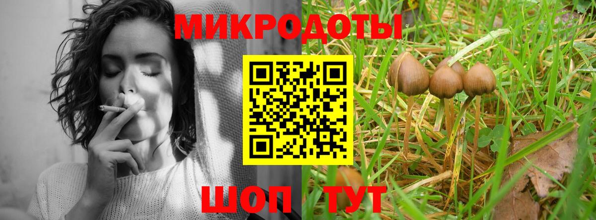 Галлюциногенные грибы Psilocybine cubensis Россия